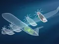 Airbus и MTU создают водородный двигатель: прощай, керосин, здравствуй, водяной пар