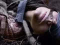 post_big/birdbox.jpg
