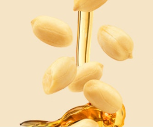 Gourmet Large Honey Roasted Virginia Peanuts