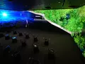 pr_news/1649707510-The_Wall_Forestias_thumb728.jpg