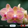 Для тих, хто знає чого хоче: огляд QLED-телевізора Xiaomi TV S Pro Mini LED 2026-100