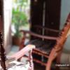 Galaxy-Note-8-official-sample-main-camera-10.jpg