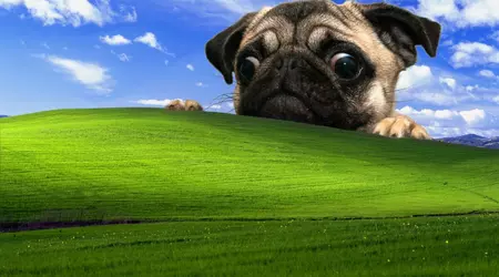 Windows XP залишається найпопулярнішою в одній із країн