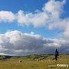 Galaxy-Note-8-official-sample-telephoto-lens-3.jpg