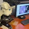 Google et le Pentagone ont mis au point un microscope basé sur l'intelligence artificielle pour le diagnostic du cancer-5