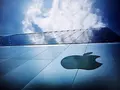 files/u9836/macs_in_business.jpg