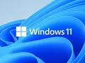 post_big2/win11bloom.webp