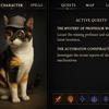 Cat scene with different objects