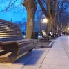 Прев'ю фотографії на основну камеру Redmi Note 15 з ефектом розмиття