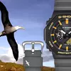 Прев'ю годинників Casio G-Shock Albatross