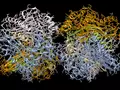 post_big/deepmind-proteine-dateabase.jpg