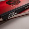 Скриншот из игры Assassin's Creed Shadows