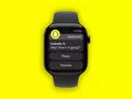 post_big/02_SnapYellow_black.jpg