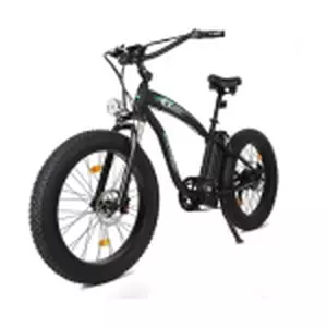ECOTRIC Coolboy