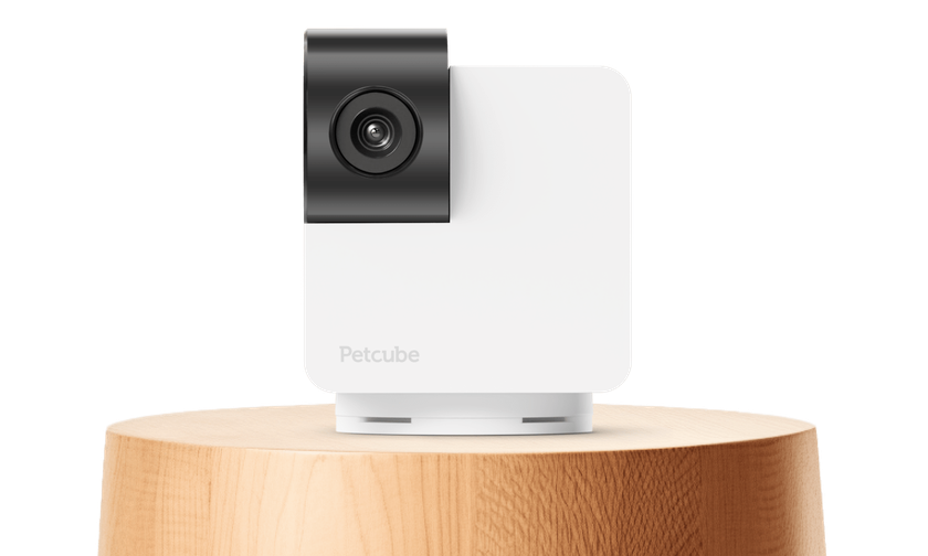 Petcube Cam 360: камера для наблюдения за домашними животными с вращением на 360°, ночным режимом и двусторонней связью