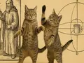 post_big/cat1200.jpg