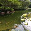 P70727-162407.jpg
