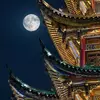 Color reproduction of Vivo X300 Pro in low light conditions