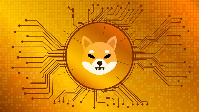 Водитель бизнесмена купил токены Shiba Inu на $670, стал миллионером и уволился