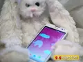 Обзор тапательного смартфона LG L90 D405
