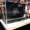 Acer_Predator_Triton_900_5.jpg