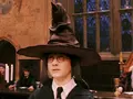post_big/harry_EwJFiGZ.jpg