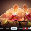 Для тих, хто знає чого хоче: огляд QLED-телевізора Xiaomi TV S Pro Mini LED 2026-103