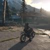 Огляд Days Gone (Життя Після): чи є життя після апокаліпсису?-168
