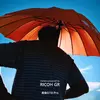 Negative Film mode preview