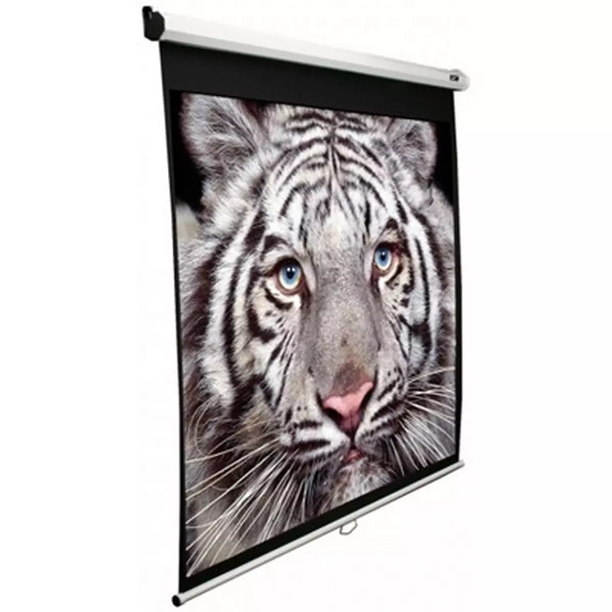 Elite Screens M136XWS1