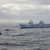 The British aircraft carrier HMS Queen Elizabeth, carrying fifth-generation F-35B Lightning II fighters, has transferred to NATO command for the first time in history-24