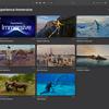 Image of the Apple Immersive Video Utility application