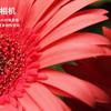 d9080a7bc5bd40fca8bee5bc980372cc.jpg