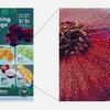 Схема алгоритма Color Imaging Algorithm