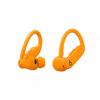 Powerbeats Pro 2 case color
