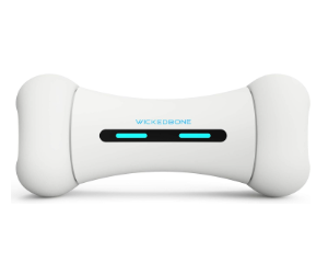 Wickedbone Smart Dog Toy