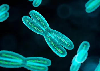 Trillion Gene Atlas: как Basecamp Research собирается «переварить» генетику планеты за два года