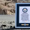 Sketch of Guinness certificate