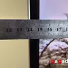 Сума технологій, що перевершує очікування: огляд 65-дюймового OLED-телевізора Samsung S95F-19