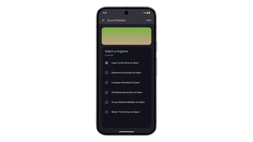 Google представляет новую коллекцию мелодий и будильников Pixel "Sound Matters" с уникальными звуками природы