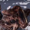 God of War_20180420220023.jpg