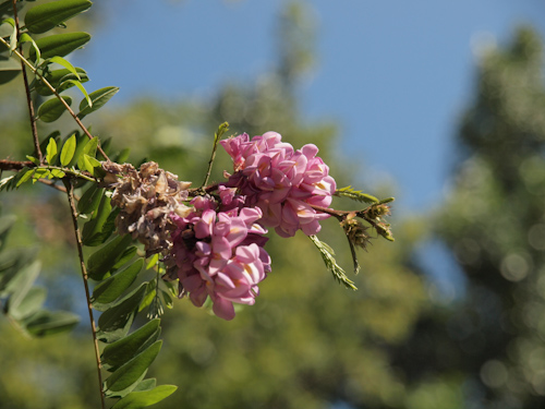 P1010155.jpg