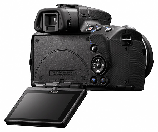 sony_a55_back.jpg
