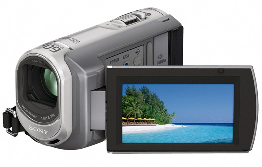 SonyDCR-SX60.jpg