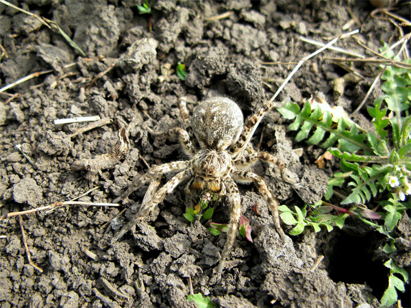 Competitor35_2.jpg