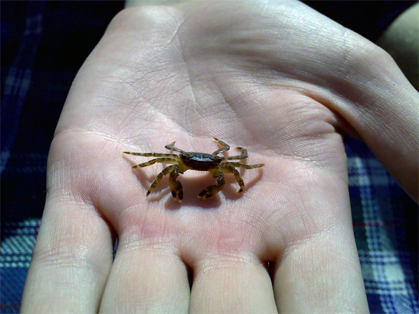 Competitor39_3.jpg