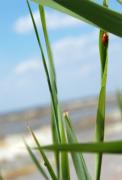 Competitor54_1.jpg