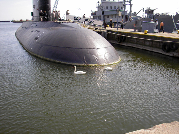 Competitor107_2.jpg