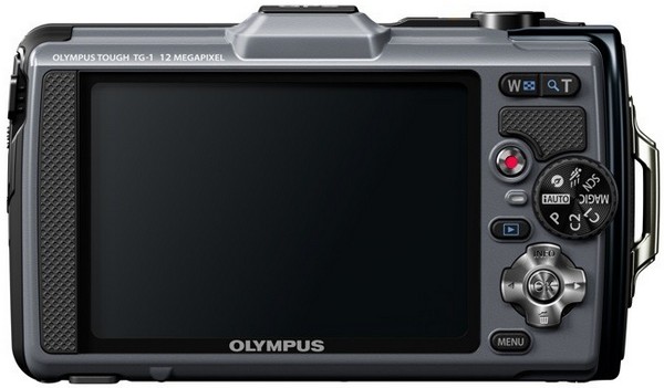 olymtg113eng.jpg