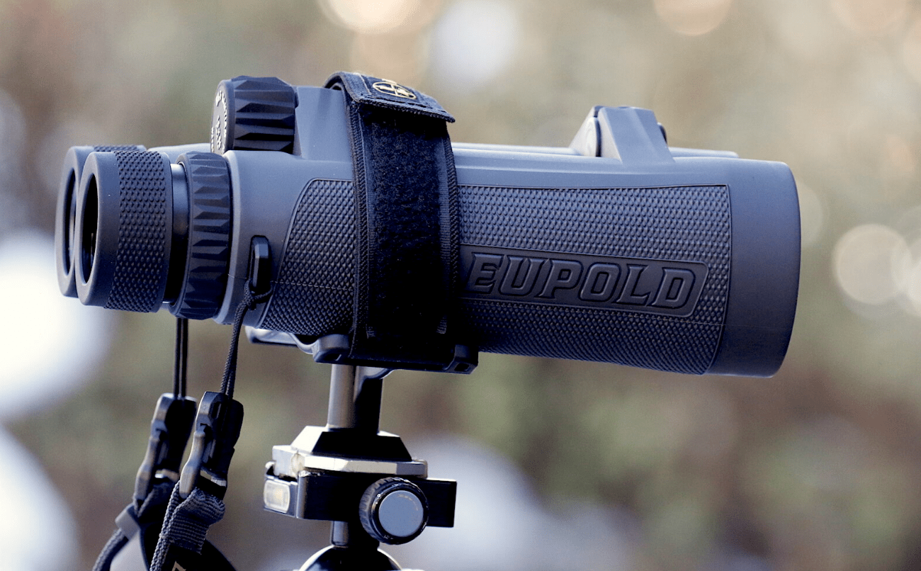 Leupold BX-5 Santiam HD 15x56 astronomy binoculars